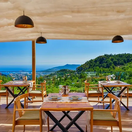 홈스테이 Turquoise Retreat & Wellness