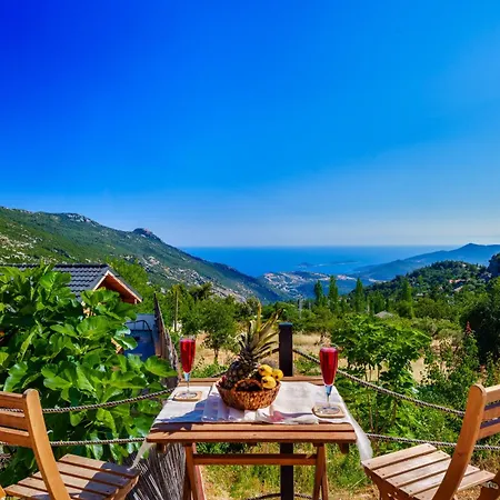 Turquoise Retreat & Wellness 홈스테이